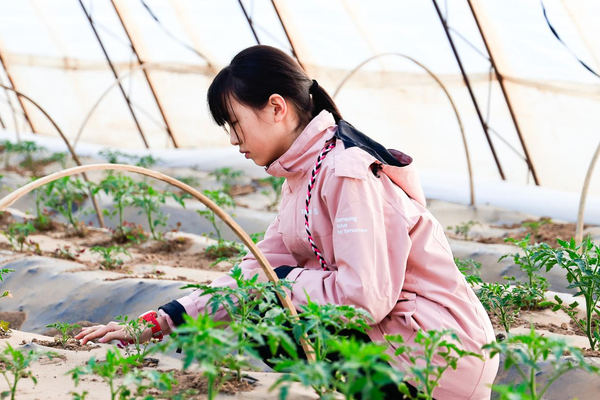 探知未来科技女性培养计划：为青春插上科技的翅膀3.png