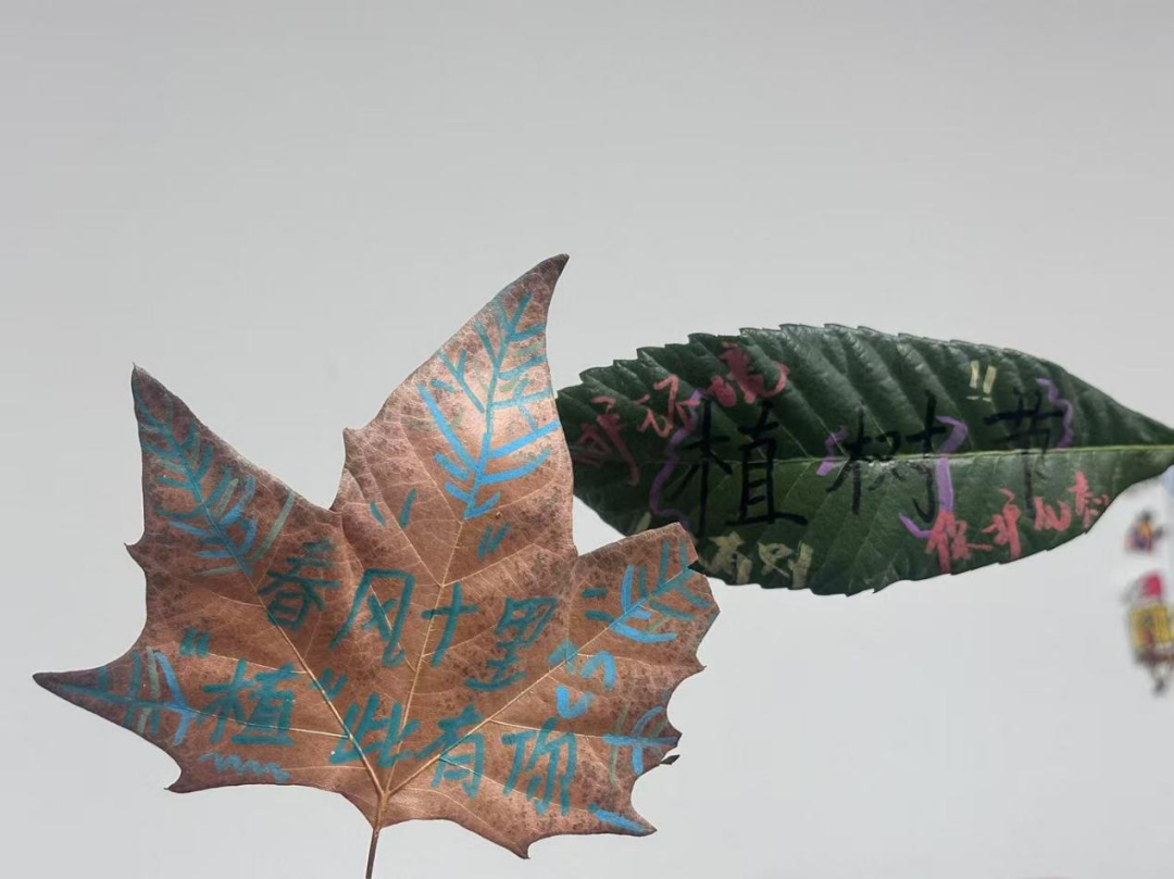 西安外事技工学校举行2025年植树节活动