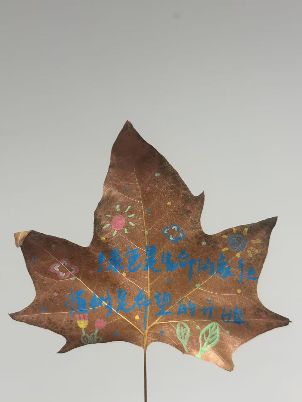 西安外事技工学校举行2025年植树节活动