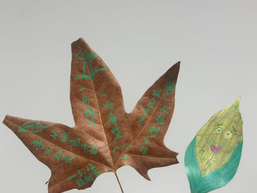 西安外事技工学校举行2025年植树节活动