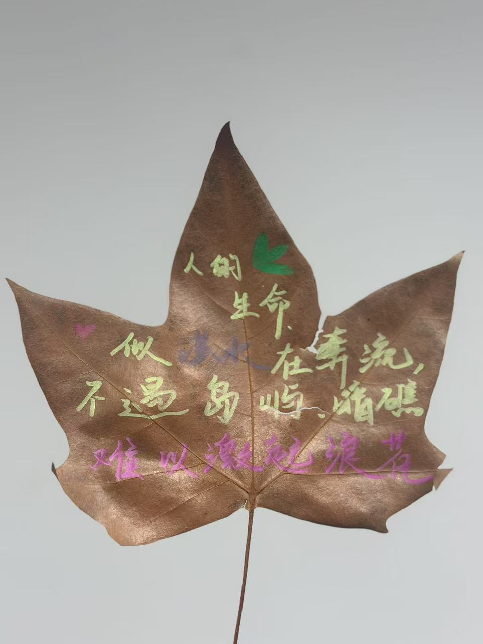 西安外事技工学校举行2025年植树节活动