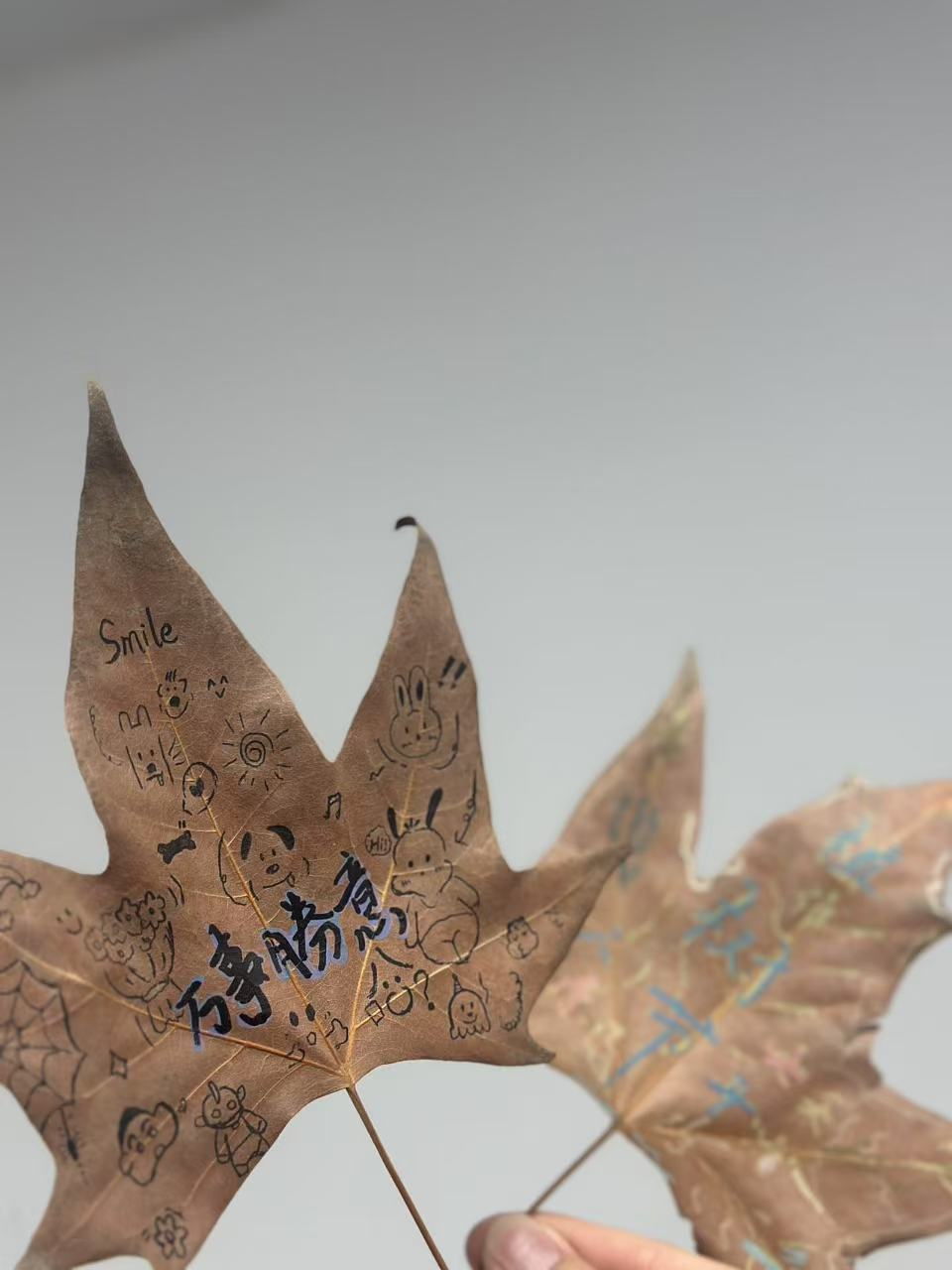 西安外事技工学校举行2025年植树节活动