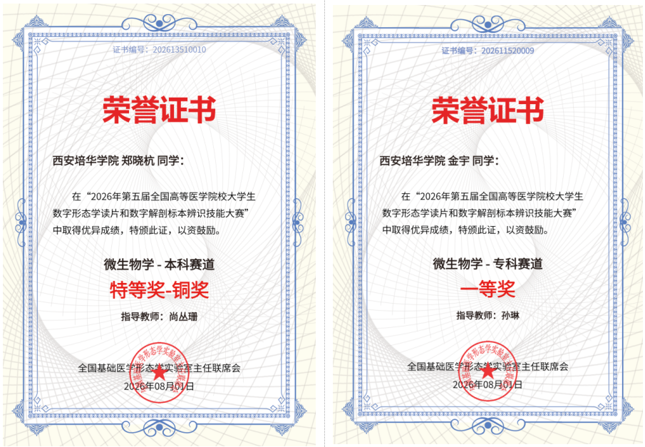全国奖项+11  西安培华学院在多项国家级赛事中斩获佳绩
