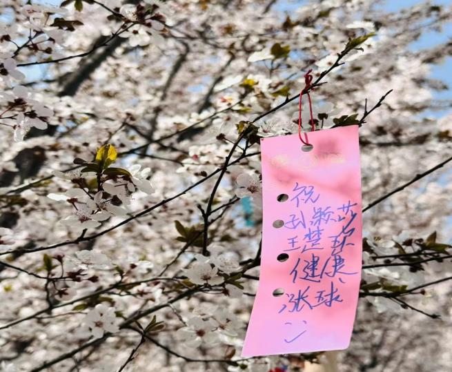 魅力陕旅！陕西旅游烹饪职业学院校园摄影大赛圆满落幕！