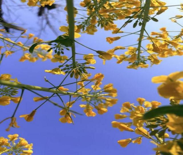 魅力陕旅！陕西旅游烹饪职业学院校园摄影大赛圆满落幕！