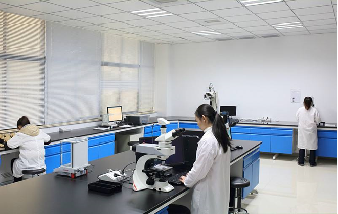 研招资讯 | 西京学院电子信息学院2025年研究生调剂公告