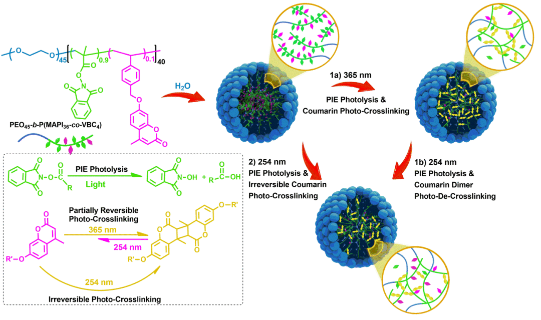 5名教授、8名博士助力！西安培华学院这支学科团队成功“出圈”