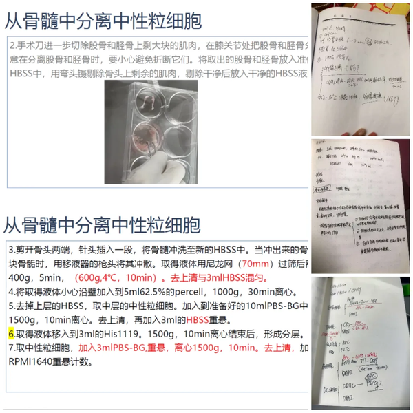 民办本科到211博士：西安培华学院学子成倩逐梦暨南大学博士纪实2.png