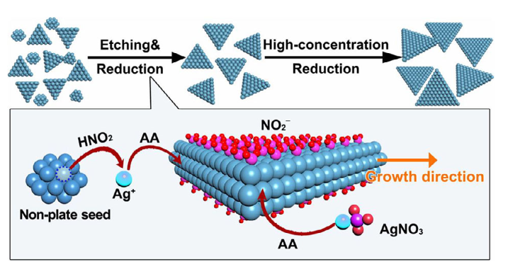 西京学院等研究团队AFM：亚硝酸介导的超薄银纳米片合成用于柔性电极制备