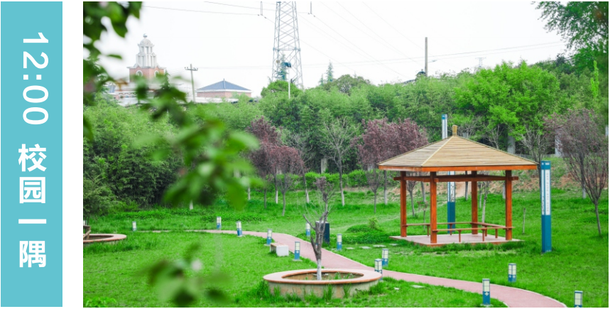 重磅！西安海棠职业学院2025年招生简章发布