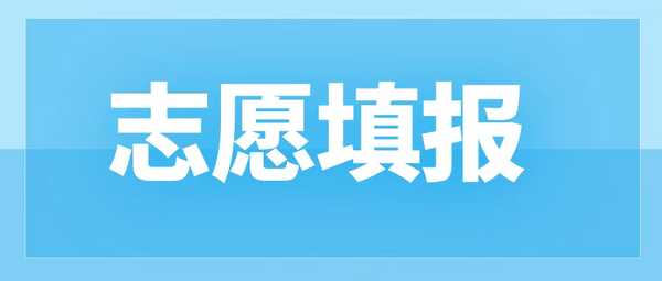 志愿填报