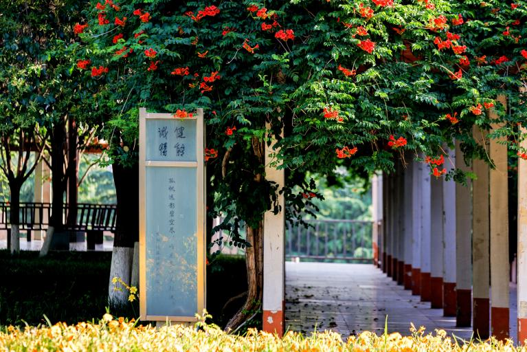 人才缺口大、就业前景广阔！带你揭秘西京学院“热门”专业！