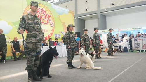 失业率突破新高，我们应该如何抉择？-陕西精工数码技术学校带您一起解密6.png