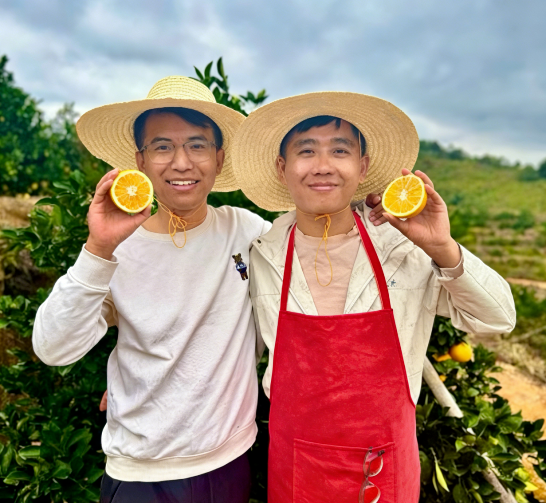 陕西省教育厅官方报道｜西京学院陈宁杨一名“客家人”CEO的乡村振兴创业路典型事迹