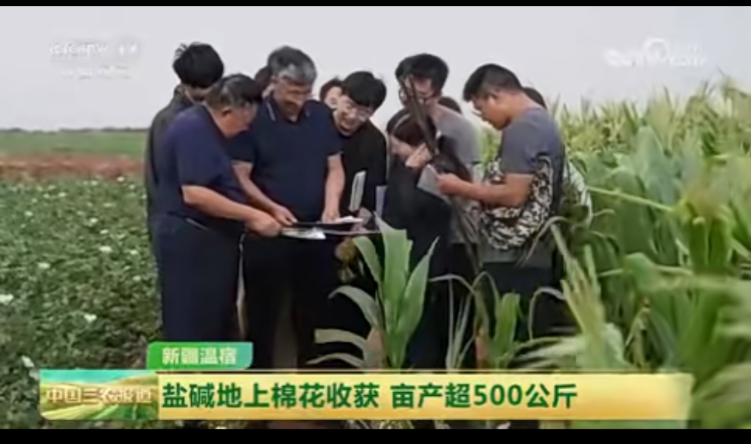 权威发布！西安理工大学2025年度十大新闻