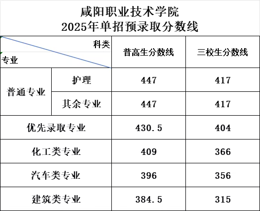 咸阳职业技术学院2025年单招预录取分数线