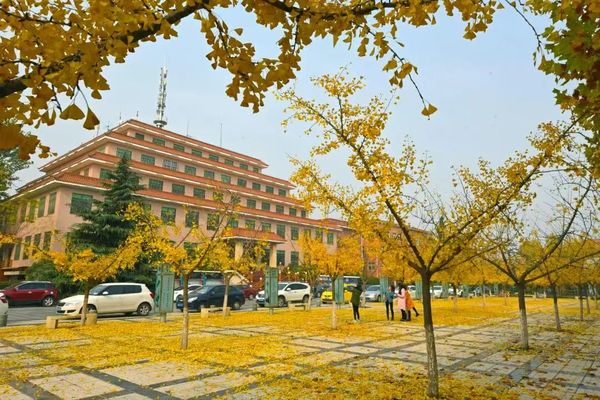 西京学院研究生考试大纲来袭,静候金秋校园与你相遇