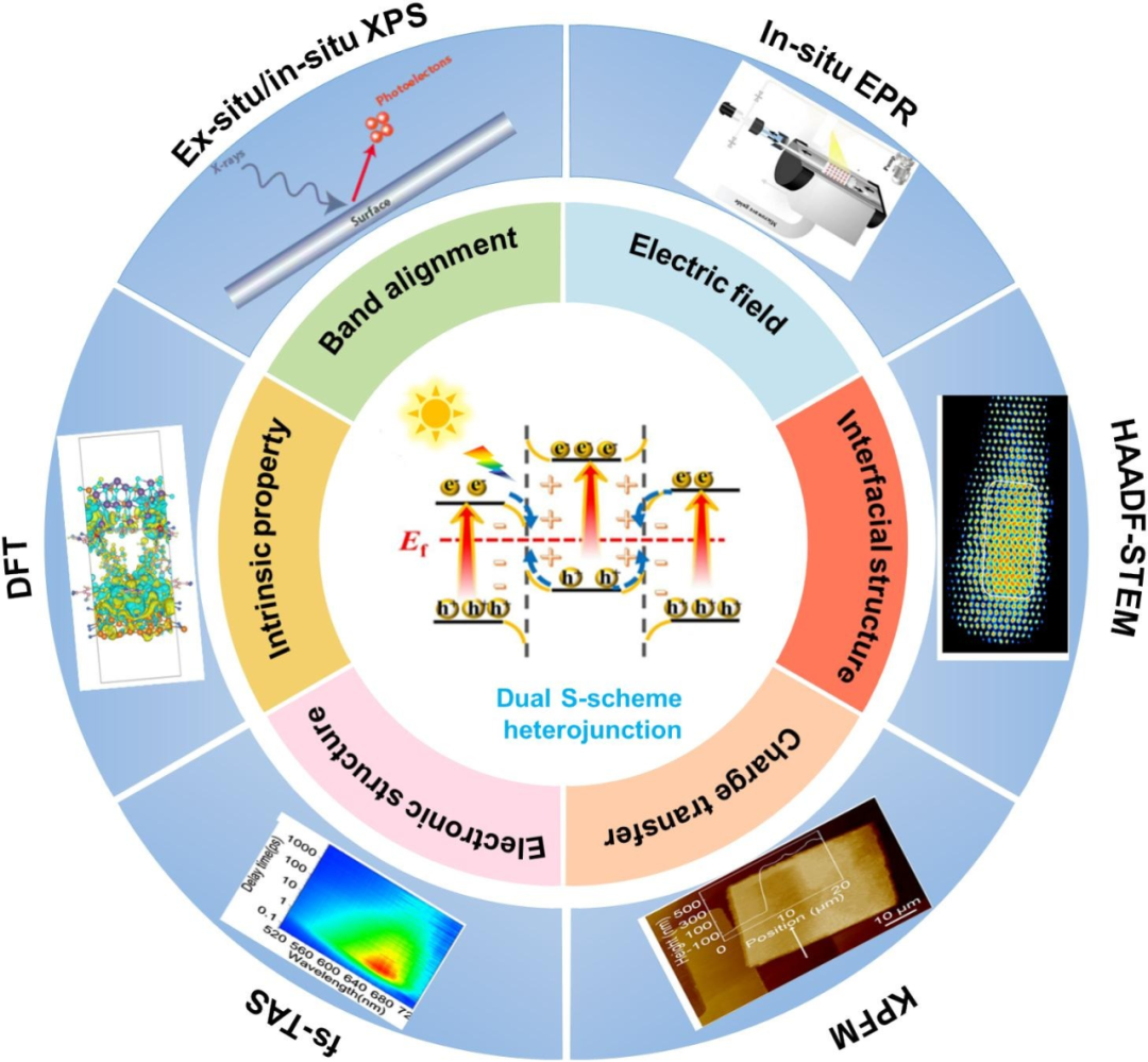 影响因子23.5！西京学院又一论文发表于国际顶级期刊